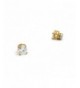 Zirconia Magnetic Earrings Gold Tone CZRM G8