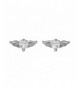 Stainless Steel Earrings Shaped Crystal