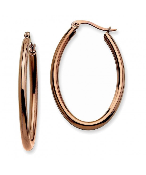 Stainless Steel Plated Hoop Earrings