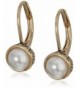 SAK Pearl Leverback Drop Earrings