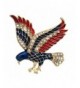 American Design Brooch Independence Gold tone