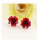 Women's Stud Earrings