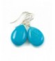 Sterling Simulated Turquoise Earrings Teardrop