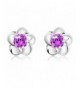 SMTSMT Silver Plated Crystal Earrings Purple