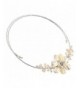 Women's Choker Necklaces