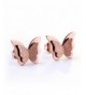 Titanium Stainless Steel Charming Earring