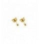 Karat Yellow Gold Round Earrings