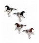 Western Running Earrings WYO HORSE Collection