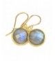 Filled Labradorite Earrings Goldtone Faceted