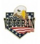 PinMarts Veteran American Patriotic Enamel