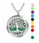 Aromatherapy Essential Diffuser Necklace Stainless