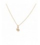 Lux Accessories Hashtag Pendant Necklace