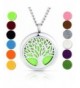Stianless Aromatherapy Essential Diffuser Necklace