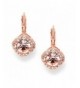 Mariell Tailored Solitaire Earrings Brilliant