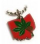 Ohio State University Buckeyes Necklace