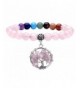 JOVIVI Healing Crystal Bracelet Meditation