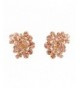 Grace Jun Rhinestone Earrings champagne