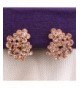 Women's Clip-Ons Earrings