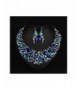 Hamer Costume Statement Necklace Earrings