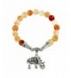 Falari Elephant Natural Bracelet B2448 AP