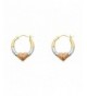 Color Thickness Shape Earringswith Heart